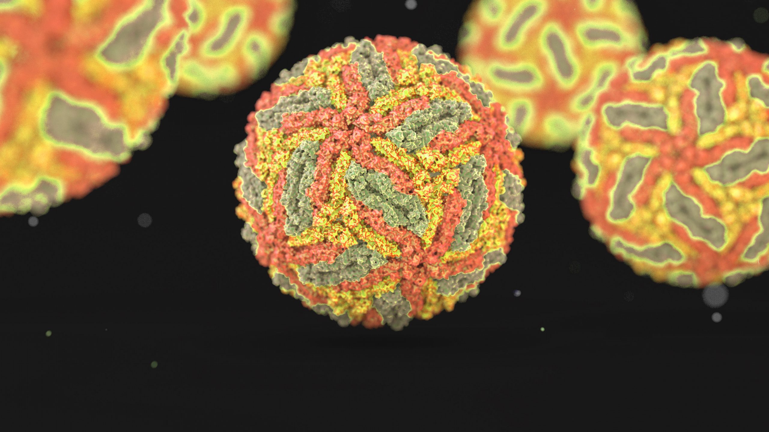 An artists depiciton of Zika virus particles 